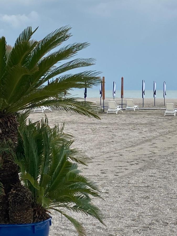 Vega Beach Apartment Mamaia Eksteriør bilde